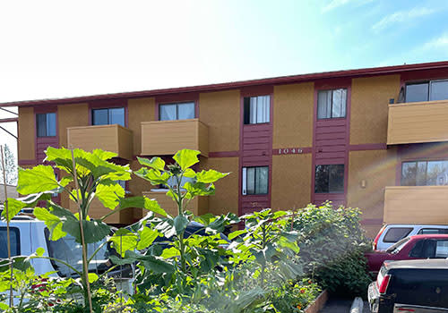 Nicole Apartments property